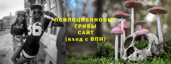 СК Абаза