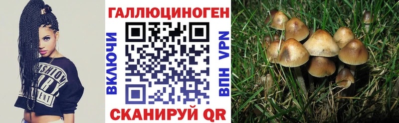 Галлюциногенные грибы Magic Shrooms  Руза 